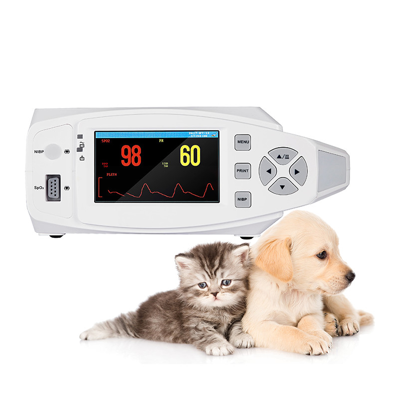Clinic Electronic NIBP Veterinary Vital Signs Monitor Portable Li Battery GB/ T18830